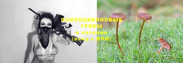 шишки Алексеевка