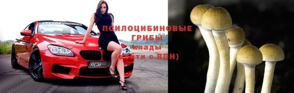 шишки Алексеевка