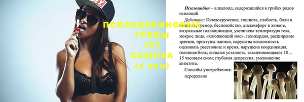 прущие крисы Алзамай