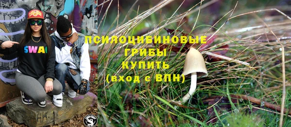 шишки Алексеевка