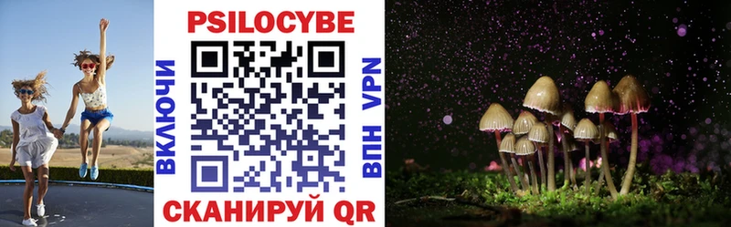 Галлюциногенные грибы Psilocybe  сколько стоит  Евпатория 